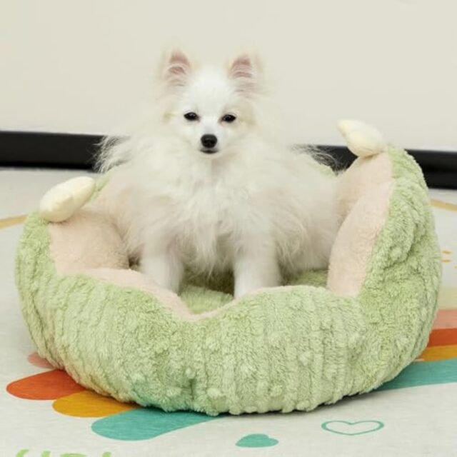 Hollypet Calming Cat Beds For Indoor Cats Cute Cactus Pet Beds Fluffy Puppy Bed Non Slip Extra Small Dog Bed - Image 6