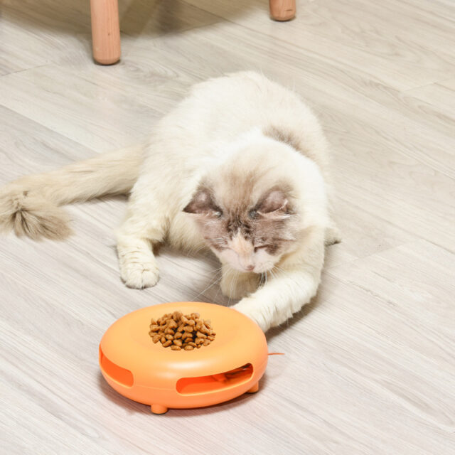 Pet Funny Cat Turntable, Cat Snacks, Food Utensils, Sound Toys - Image 3