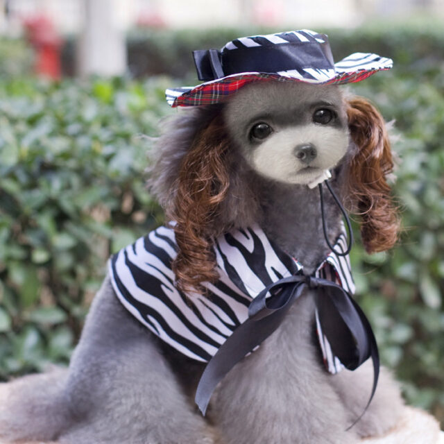 Christmas Pet Clothes Funny Alternative Pet Clothing Apparel - Image 9