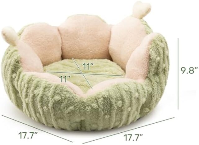 Hollypet Calming Cat Beds For Indoor Cats Cute Cactus Pet Beds Fluffy Puppy Bed Non Slip Extra Small Dog Bed - Image 2