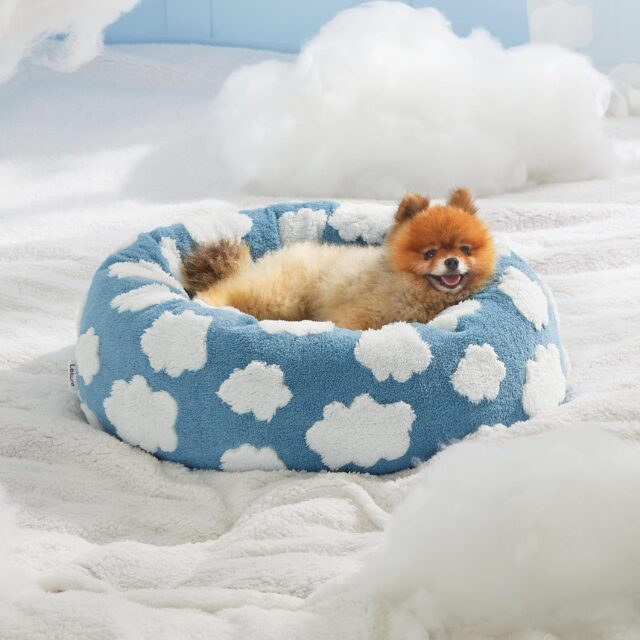 Lesure Cat Beds For Indoor Cats - Round Cat Bed Donut Small Dog Bed Calming Pet Beds, Cute Modern Beds With Jacquard Shaggy Plush & Anti Slip Bottom - Image 8