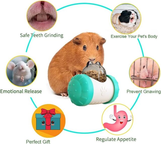 Cat Toys Interactive Dog Toys Treat Dispensing Dog Toys Cat Feeder Toy Dog Enrichment Toys Dog Treat Ball For Large Medium Small Dogs - Image 7