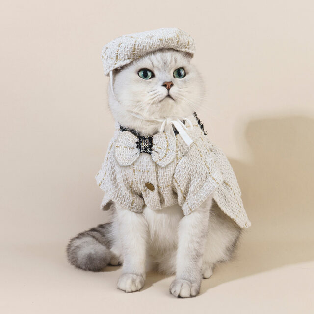 Cat Accessories Classic Style Matching Hat Coat Skirt - Image 2