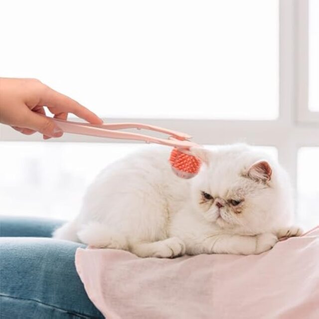 Pet Grooming Tool, Pink Cat Massager Roller With Scroll Wheel For Head And Face Massage - Image 8