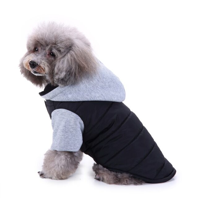 Apparel Autumn And Winter Pet Sweater Teddy Winter Clothing - Image 2