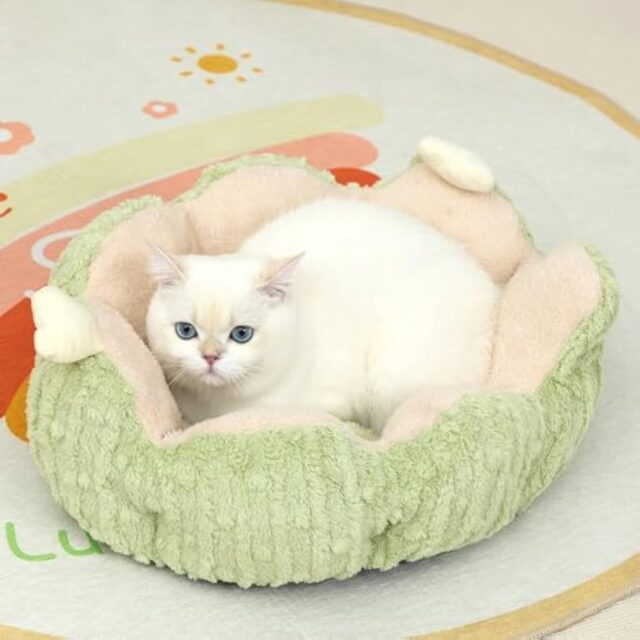 Hollypet Calming Cat Beds For Indoor Cats Cute Cactus Pet Beds Fluffy Puppy Bed Non Slip Extra Small Dog Bed - Image 4