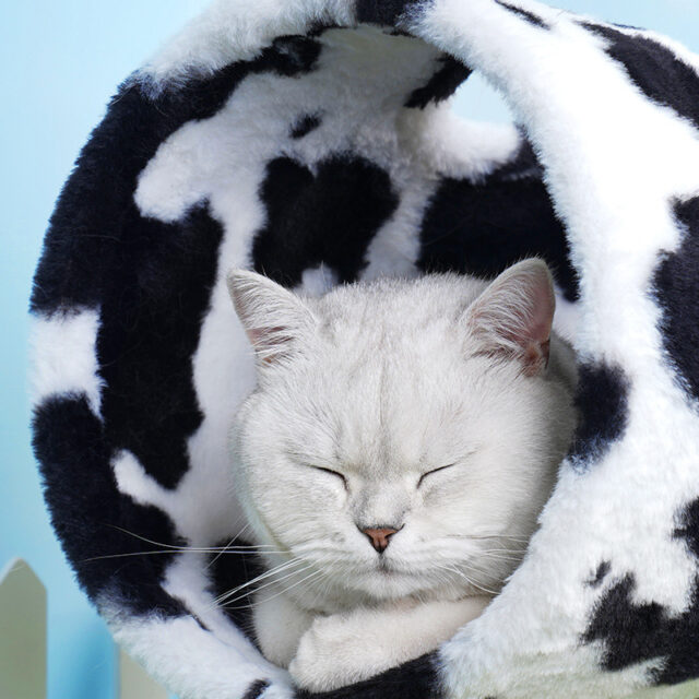 Cow Cat Climbing Frame Scratch Trees Scratching Post Tree Shelf - Image 3