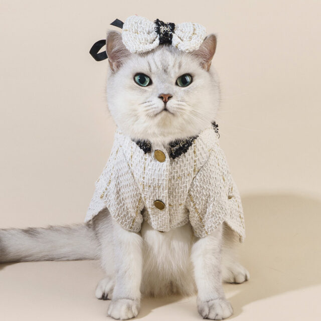 Cat Accessories Classic Style Matching Hat Coat Skirt - Image 6