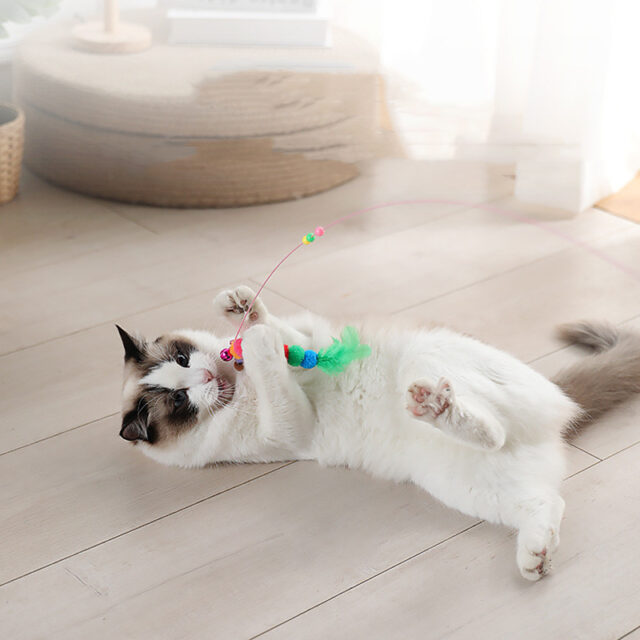 Fashionable New Cat Toys For Home Use - Image 2