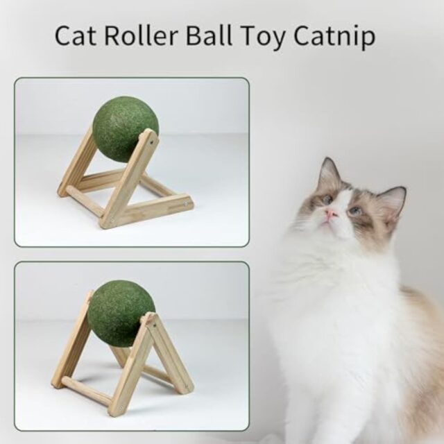 Catnip Balls Catnip Toys For Cats Cat Nip For Cats Safe Healthy Cat Nip Toys Giant Catnip Ball With Holder Cat Toys For Indoor Cats - Image 3